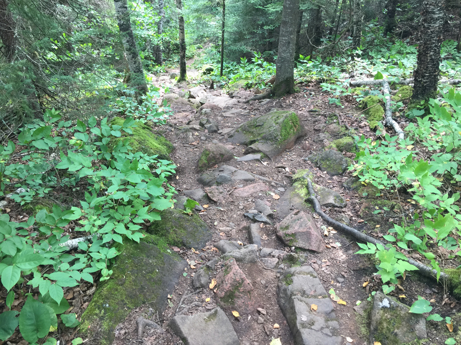 The Eagle Mountain Trail in the BWCA